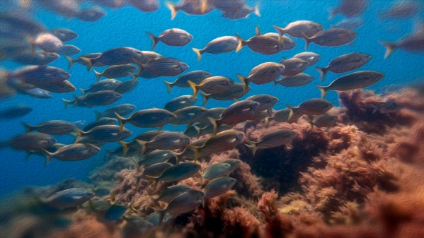 School of fish oil painting style Print